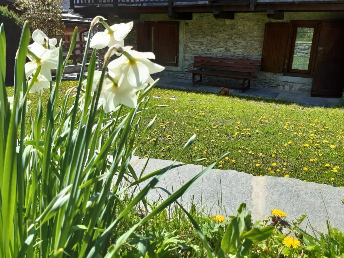 Sauze D'Oulx Ciabot La Garituela With Garden - Wifi- Close To The Chairlift 外观 照片